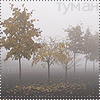 http://tritroichki.narod.ru/avatar/autumn/autumn11.gif