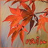 http://tritroichki.narod.ru/avatar/autumn/autumn12.gif