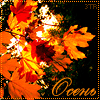 http://tritroichki.narod.ru/avatar/autumn/autumn13.gif