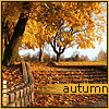 http://tritroichki.narod.ru/avatar/autumn/autumn14.gif