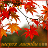 http://tritroichki.narod.ru/avatar/autumn/autumn22.gif