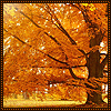 http://tritroichki.narod.ru/avatar/autumn/autumn30.gif