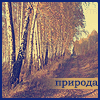 http://tritroichki.narod.ru/avatar/autumn/autumn41.gif