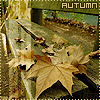 http://tritroichki.narod.ru/avatar/autumn/autumn7.gif
