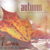 http://tritroichki.narod.ru/avatar/autumn/autumn80.png