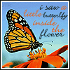 аватары с бабочками