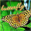 аватары с бабочками