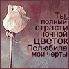 http://tritroichki.narod.ru/avatar/cvety/cv37.gif