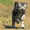 http://tritroichki.narod.ru/avatar/kot/kot3.gif