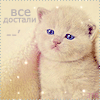 http://tritroichki.narod.ru/avatar/kot/kot32.gif