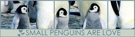 small penguins are love / линеички излав
