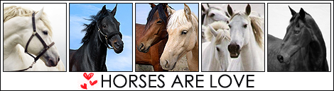 horses are love / линеички излав