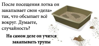 http://tritroichki.narod.ru/humor/3.jpg