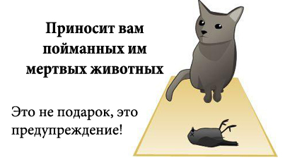http://tritroichki.narod.ru/humor/5.jpg