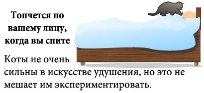 http://tritroichki.narod.ru/humor/9.jpg